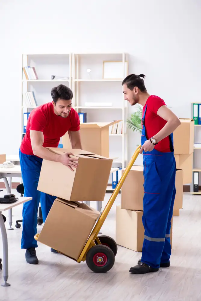 Local moving services, catering to both residential and commercial moves.